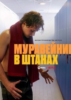 Муравейник в штанах