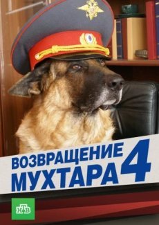 Возвращение Мухтара 4