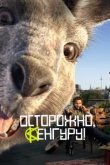 Осторожно, Кенгуру!